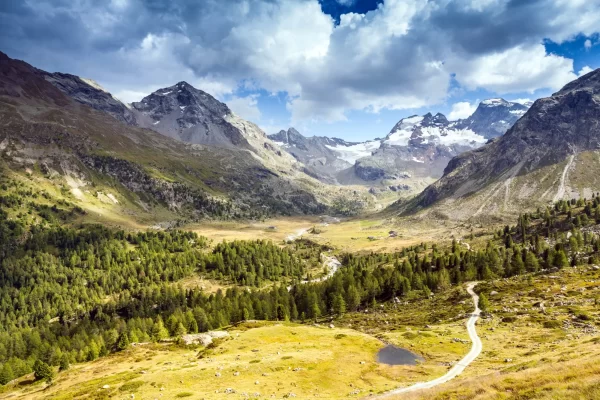 Panorama alpino con montagne innevate e vallata verde sotto un cielo nuvoloso.