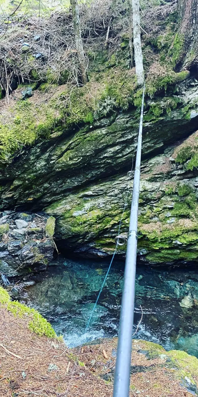 Una canna da pesca puntata verso un ruscello in un'area boschiva.